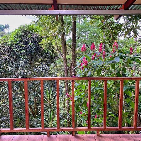 Princesa De La Luna Ecolodge La Fortuna Kültér fotó