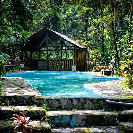 Princesa De La Luna Ecolodge La Fortuna Kültér fotó
