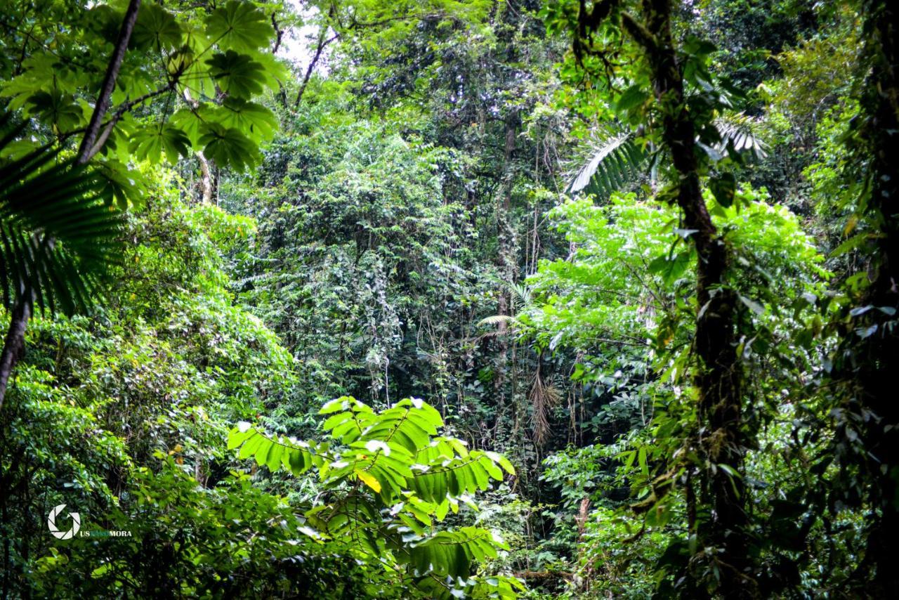 Princesa De La Luna Ecolodge La Fortuna Kültér fotó