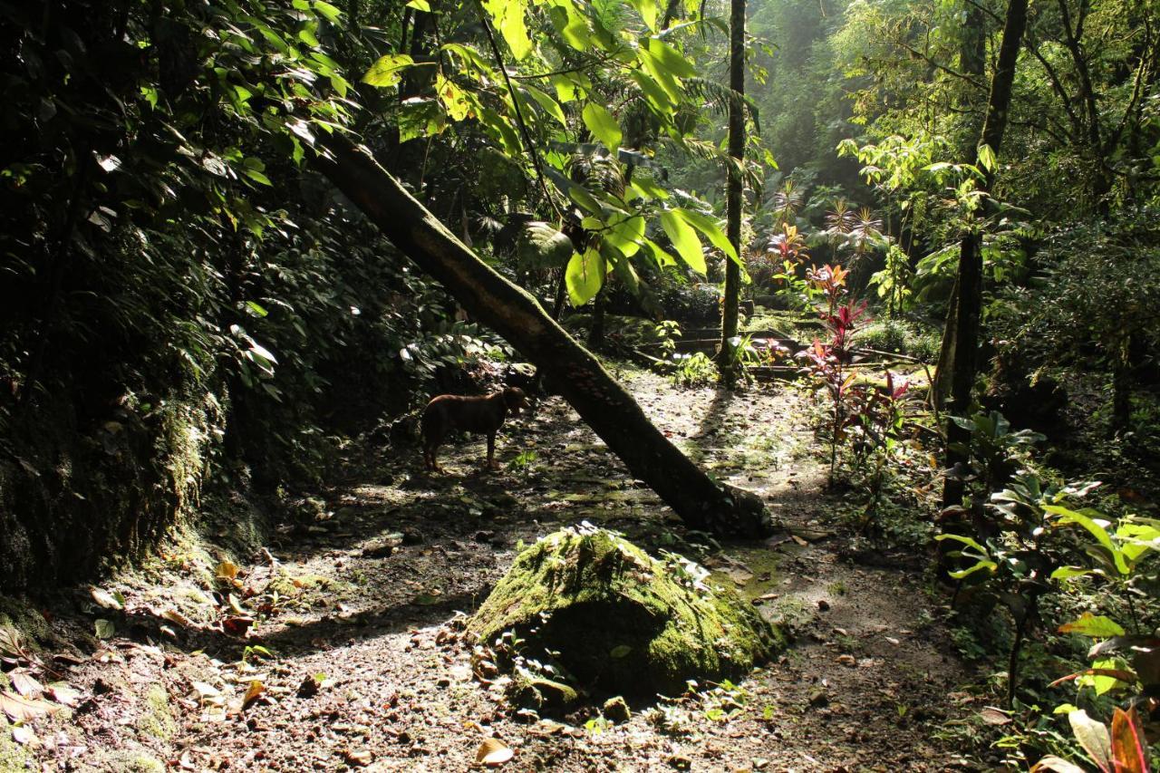 Princesa De La Luna Ecolodge La Fortuna Kültér fotó