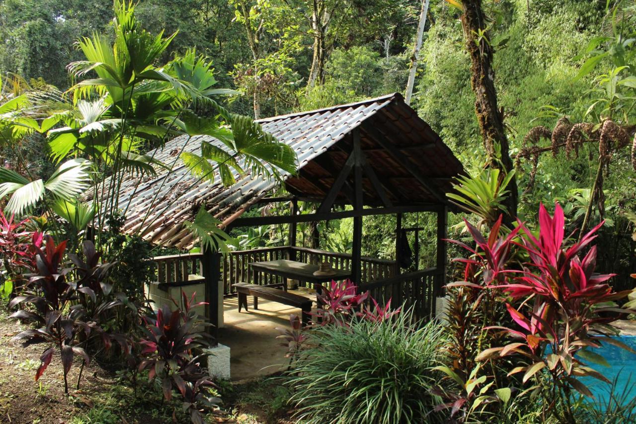 Princesa De La Luna Ecolodge La Fortuna Kültér fotó