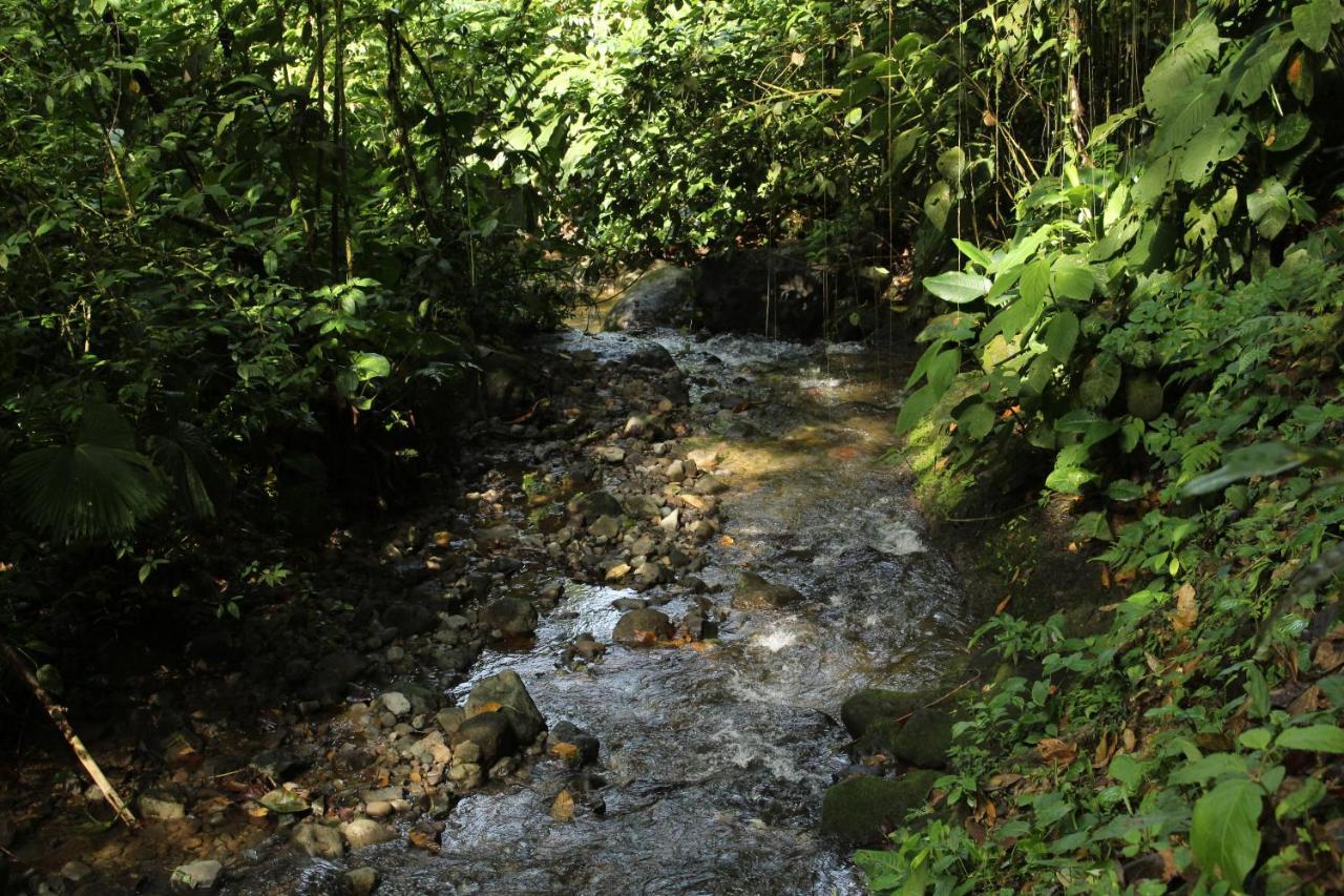 Princesa De La Luna Ecolodge La Fortuna Kültér fotó