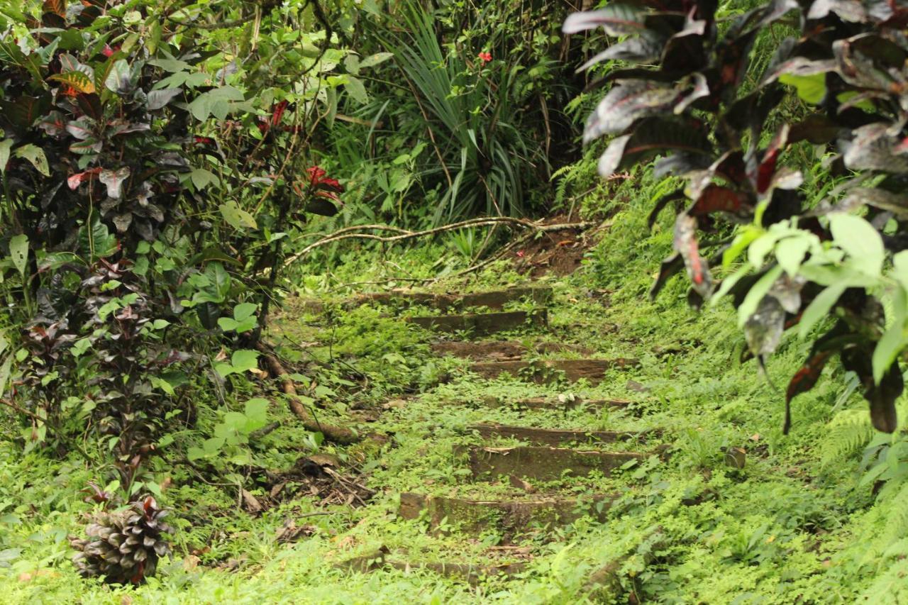 Princesa De La Luna Ecolodge La Fortuna Kültér fotó