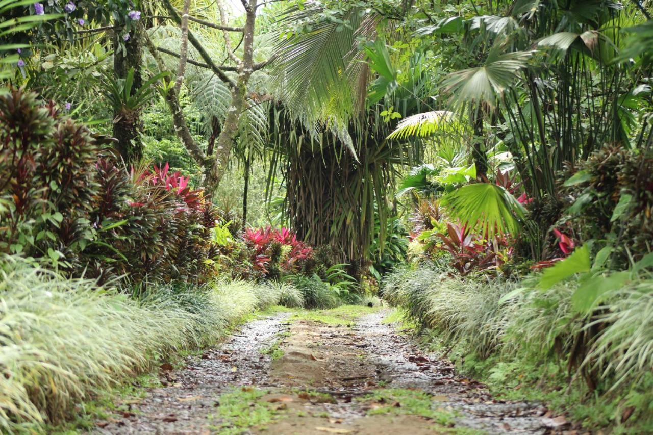 Princesa De La Luna Ecolodge La Fortuna Kültér fotó