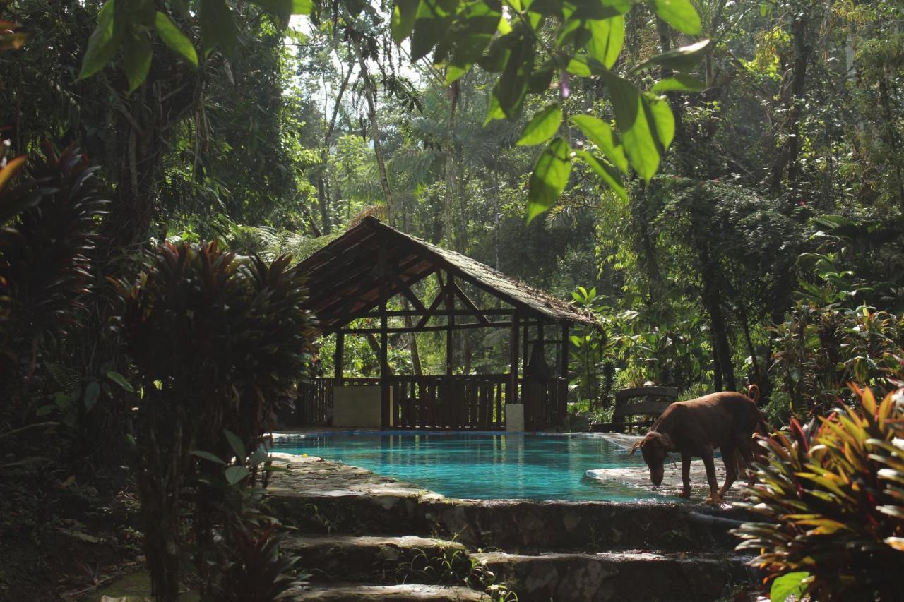 Princesa De La Luna Ecolodge La Fortuna Kültér fotó