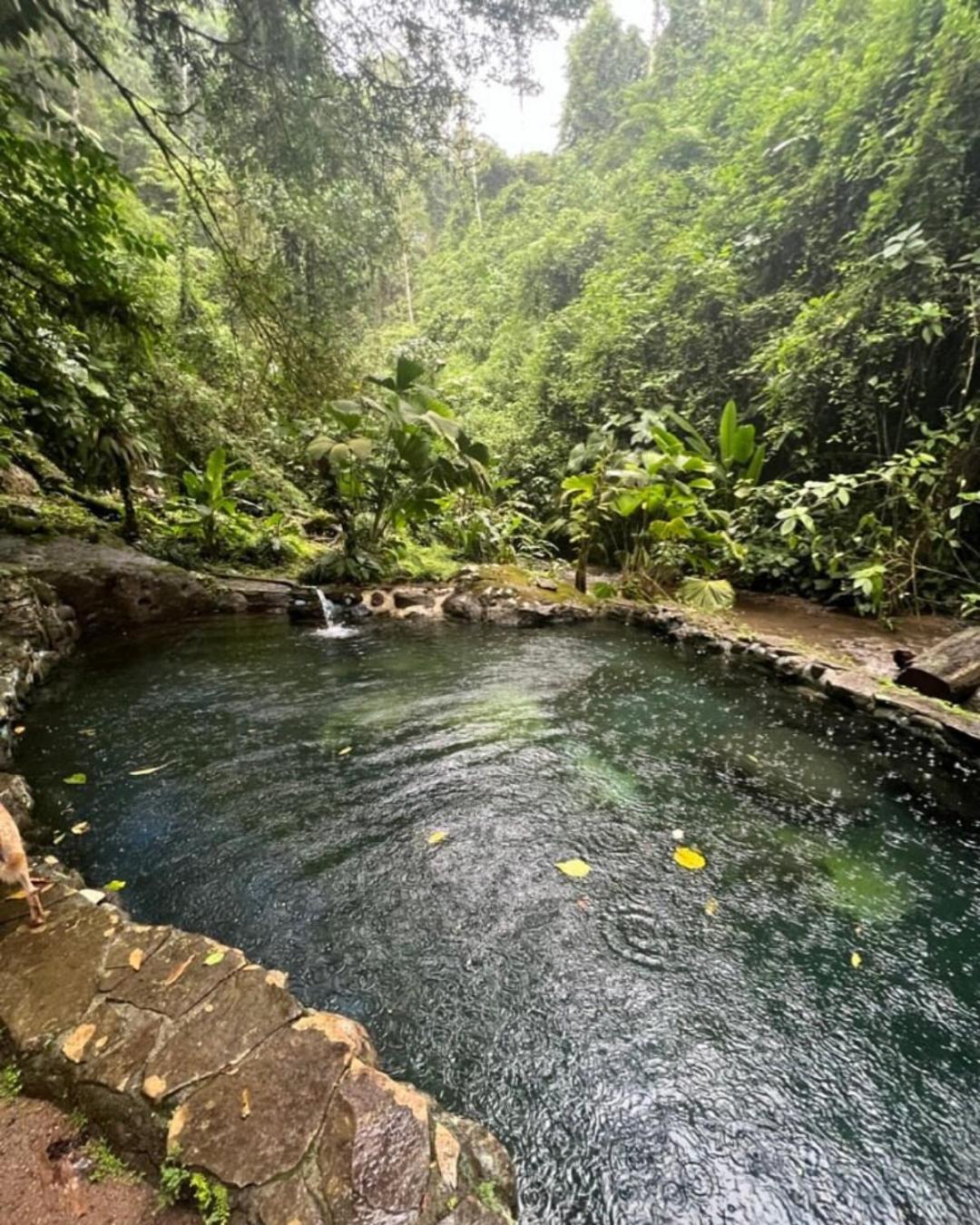 Princesa De La Luna Ecolodge La Fortuna Kültér fotó