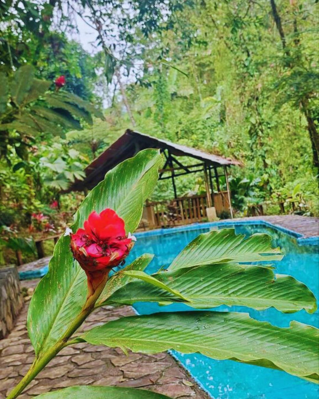 Princesa De La Luna Ecolodge La Fortuna Kültér fotó