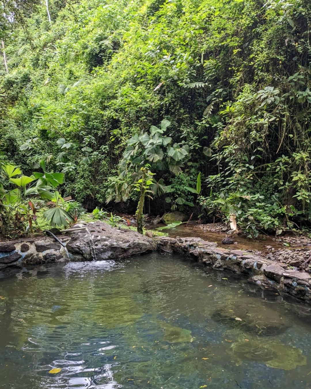 Princesa De La Luna Ecolodge La Fortuna Kültér fotó