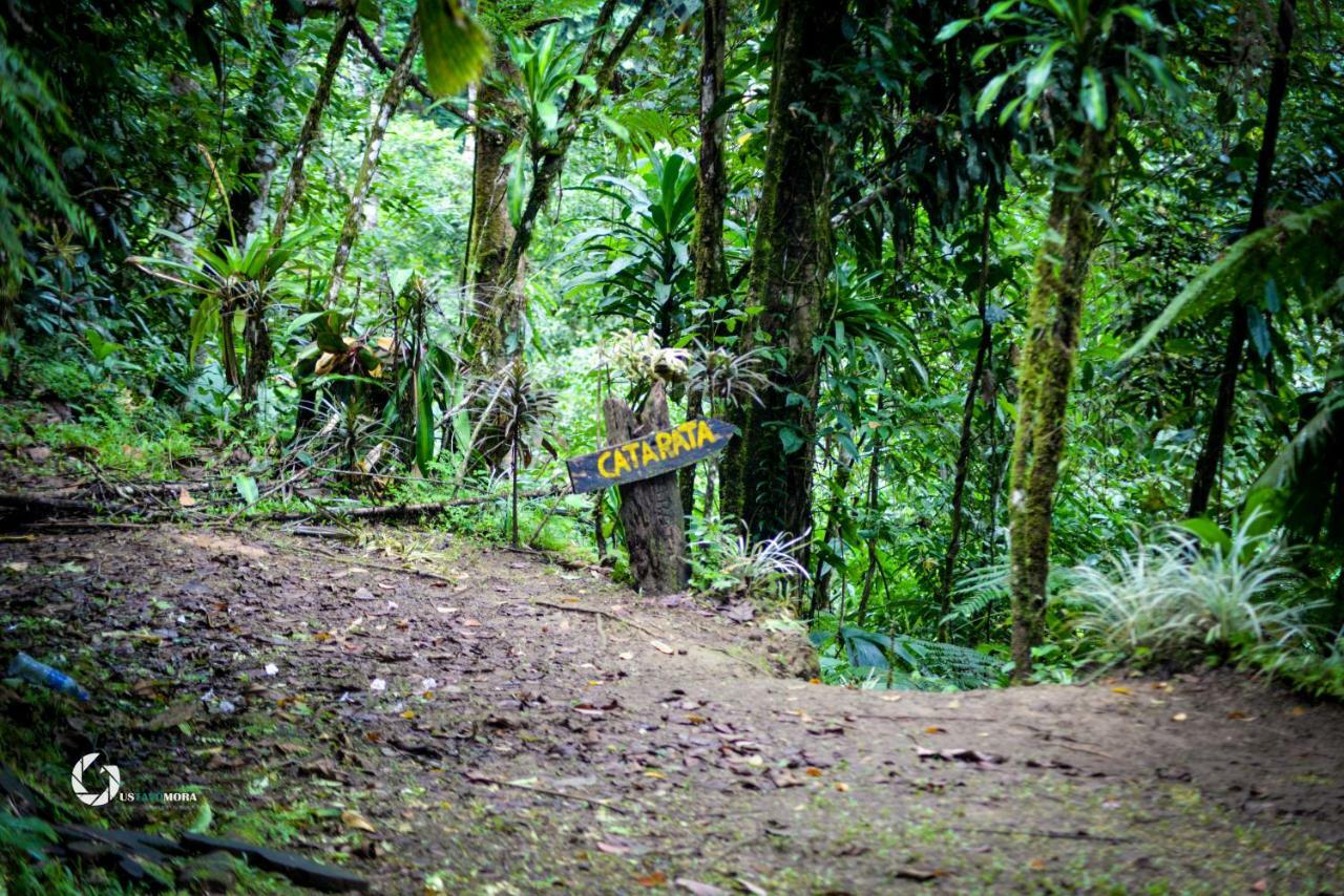 Princesa De La Luna Ecolodge La Fortuna Kültér fotó