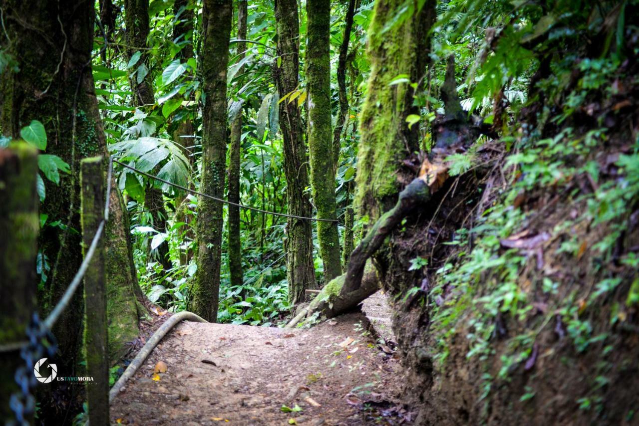 Princesa De La Luna Ecolodge La Fortuna Kültér fotó
